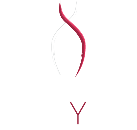 The Studyou Logo